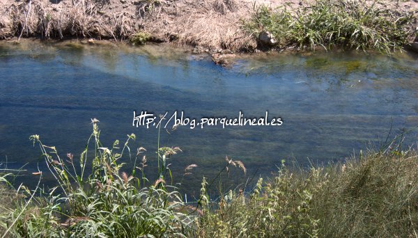 aguas real canal del manzanares