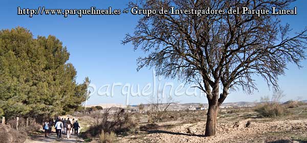 aldehuela parque lineal