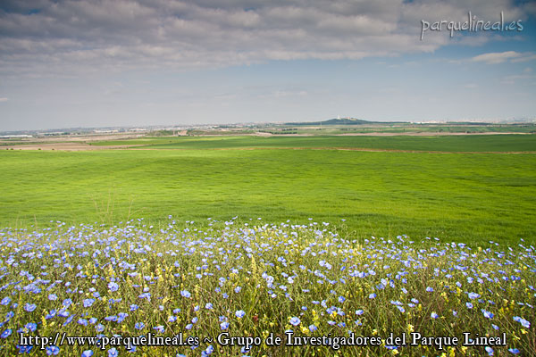 atalaya del recuenco