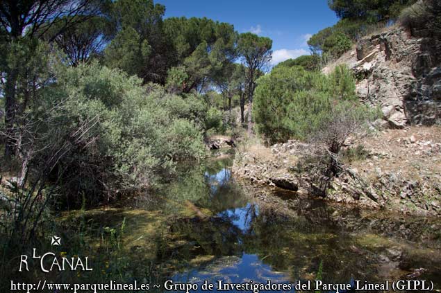 canal del guadarrama