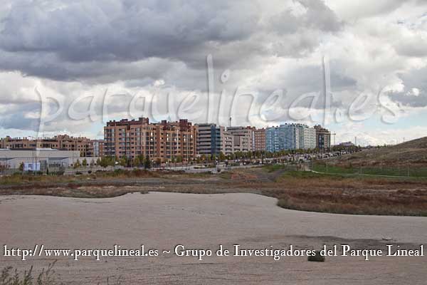 árboles de agua vallecas