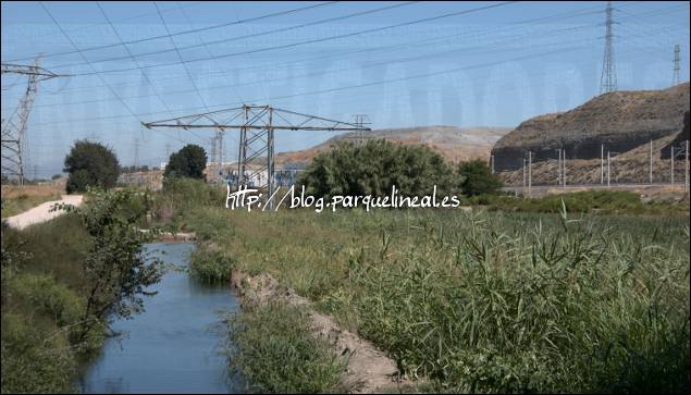 real canal del manzanares