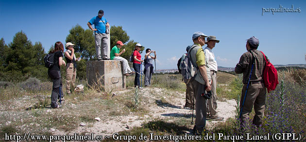 vertice coberteras