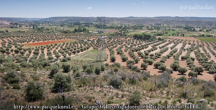 meseta tajuña meseta tajuña