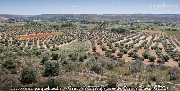 meseta tajuña