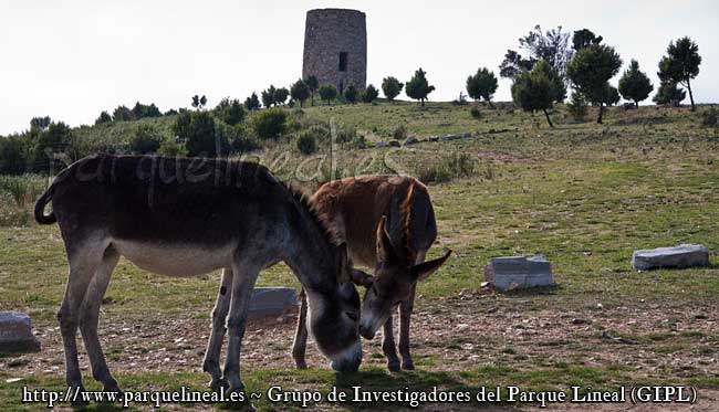 atalaya delberrueco en el jarama