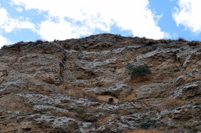 En los cortes de la pared rocosa puede observarse cómo afloran los sulfatos de sosa blanquecinos. 
