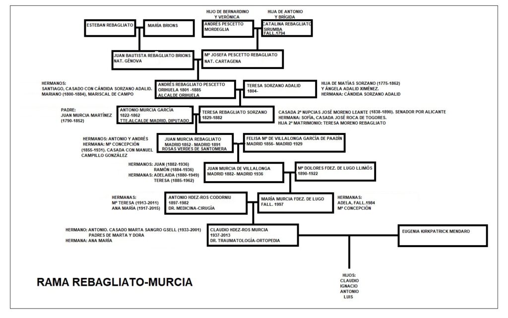 rama del árbol genealógico familiar