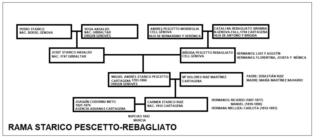 genealogía rama familiar